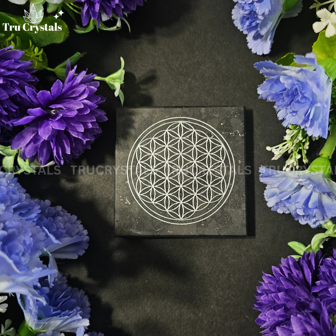 Shungite Flower of Life Plate for EMF Protection (3x3)-With Certificate