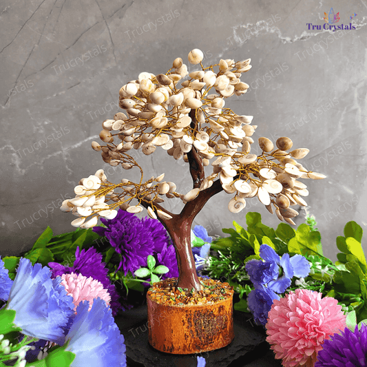 Gomati Chakra Tree for Wealth