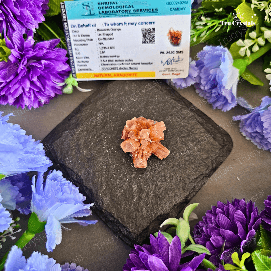 Natural Aragonite Rough Flowers For Quick Healing