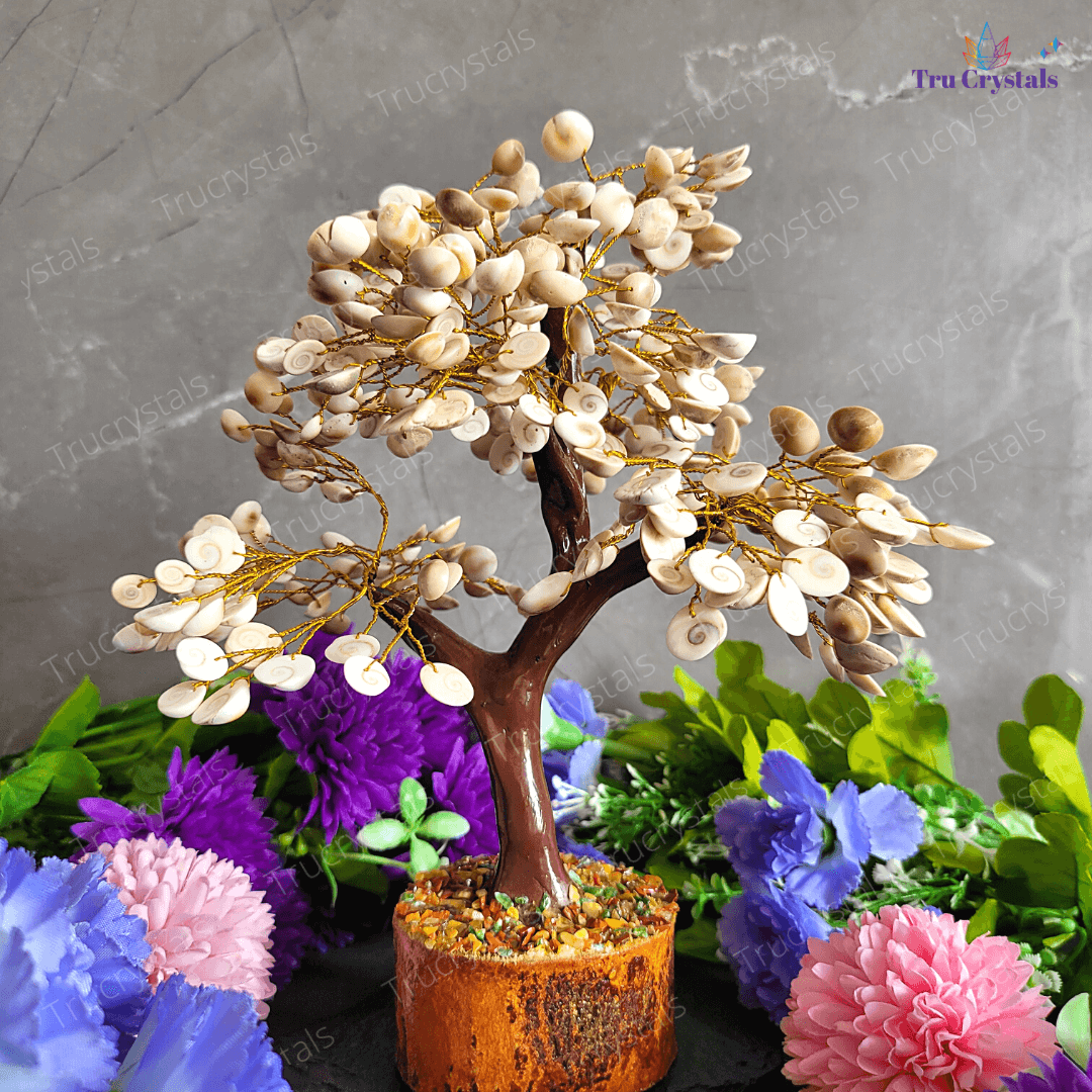 Gomati Chakra Tree for Wealth