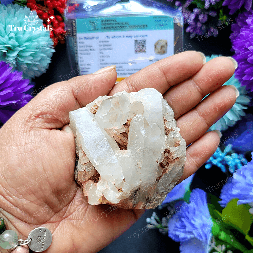Natural Clear Quartz Cluster (Certified)