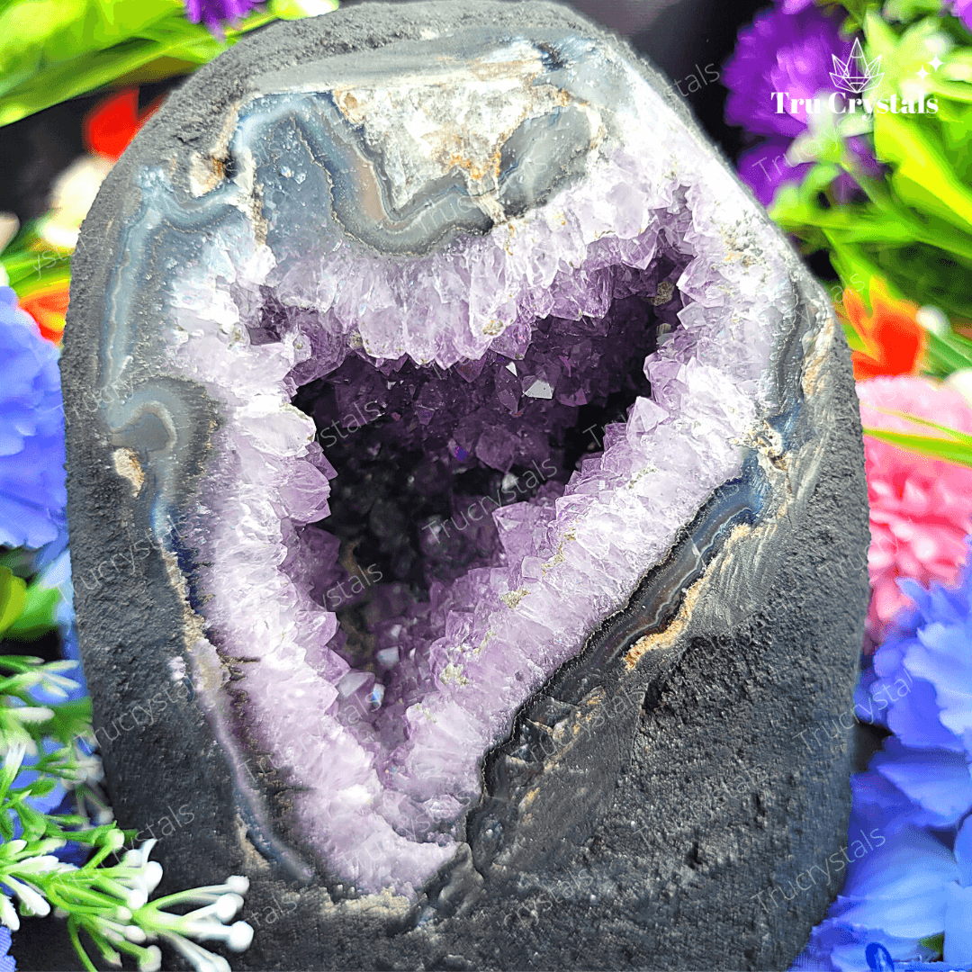 Brazilian Amethyst Geode (AAA)- Asmi