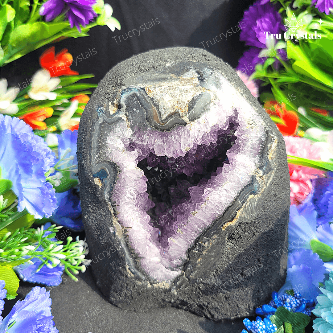 Brazilian Amethyst Geode (AAA)- Asmi