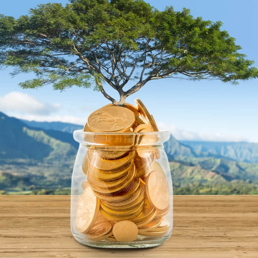 Wealth & Abundance