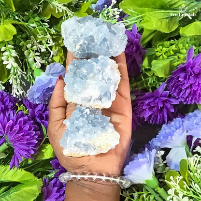 Celestite Cluster — Peace, Intuition & Dreamwork