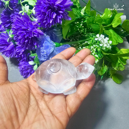 Clear Quartz Tortoise For Luck and Abundance- certified