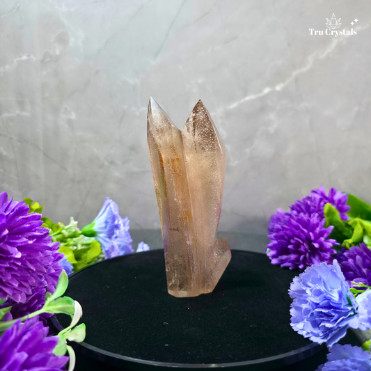 Natural Smoky Quartz Family Cluster weighing 27.1 grams, featuring multiple smoky-grey and earthy-brown crystal points.