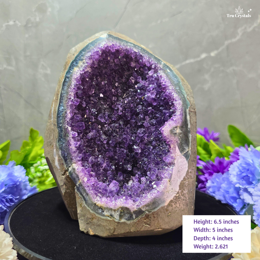 A natural amethyst geode specimen displayed upright on a black round stand, with purple crystal interior, gray outer matrix, and decorative flowers around it. A size and weight label appears in the lower right, and the TruCrystals logo is in the upper right.