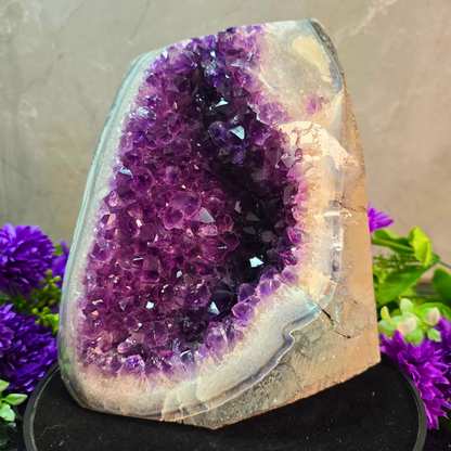 Brazallian (AAAA) Amethyst Geode –  AVNI