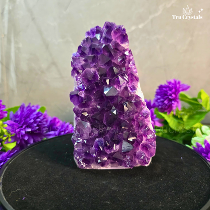 Brazilian Amethyst Geode (Exquisite AAAA Grade) -Aheli