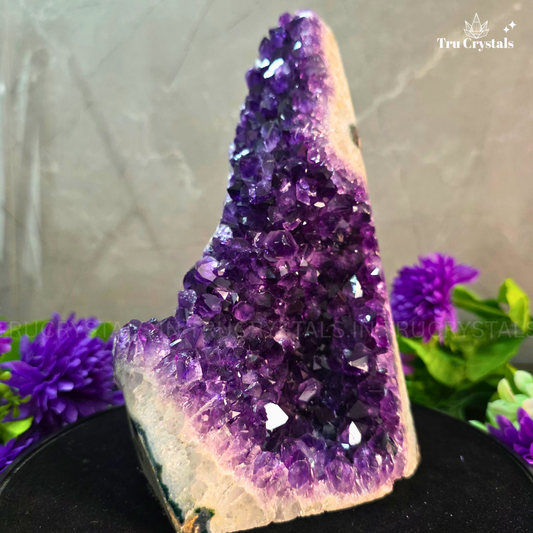 Brazallian (AAAA) Amethyst Geode –  Aditi