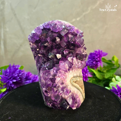 Brazallian (AAAA) Amethyst Geode –  Aravi