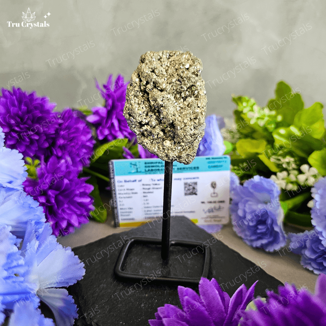 Pyrite Rough Display Stand (Certified)