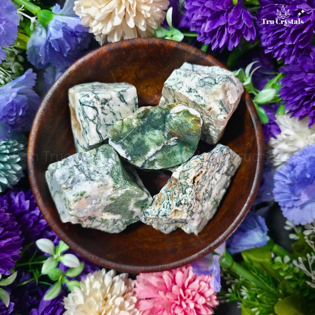 Tree Agate Rough crystal in a wooden bowl surrounded by colorful flowers with 'Tru Crystals' branding.