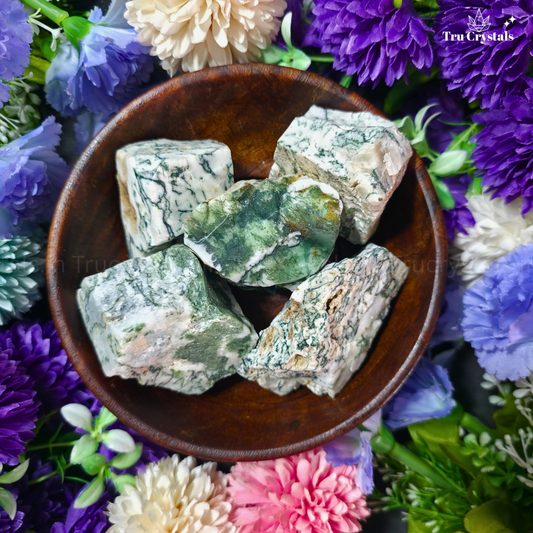 Tree Agate Rough For Stability and Growth (Certified)