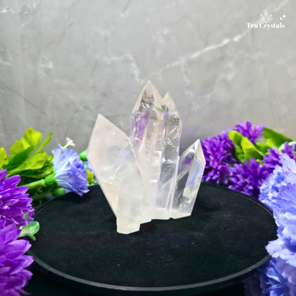 A cluster of clear quartz crystal points displayed on a black circular stand, surrounded by purple and blue flowers against a gray marble-textured background. The Tru Crystals logo is visible in the top right corner.