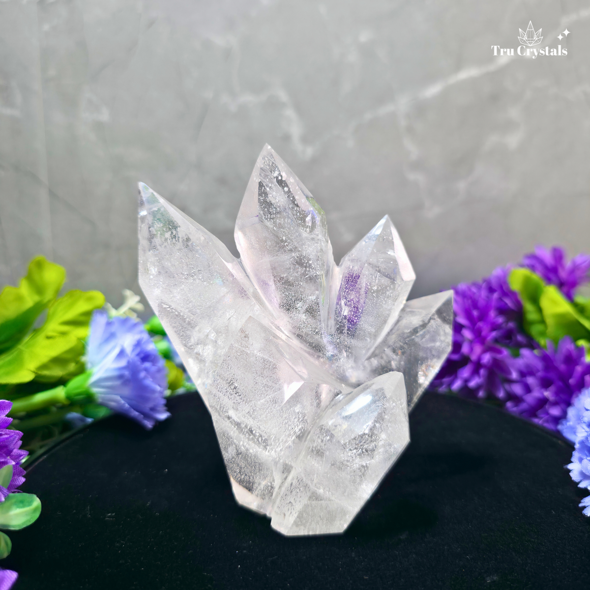 Clear Quartz Family Clusters 421g— Clarity, Amplification & Positive Energy