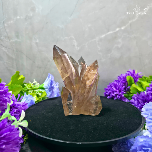 Natural Smoky Quartz Family Cluster weighing 49.2 grams, featuring multiple smoky-grey and earthy-brown crystal points.