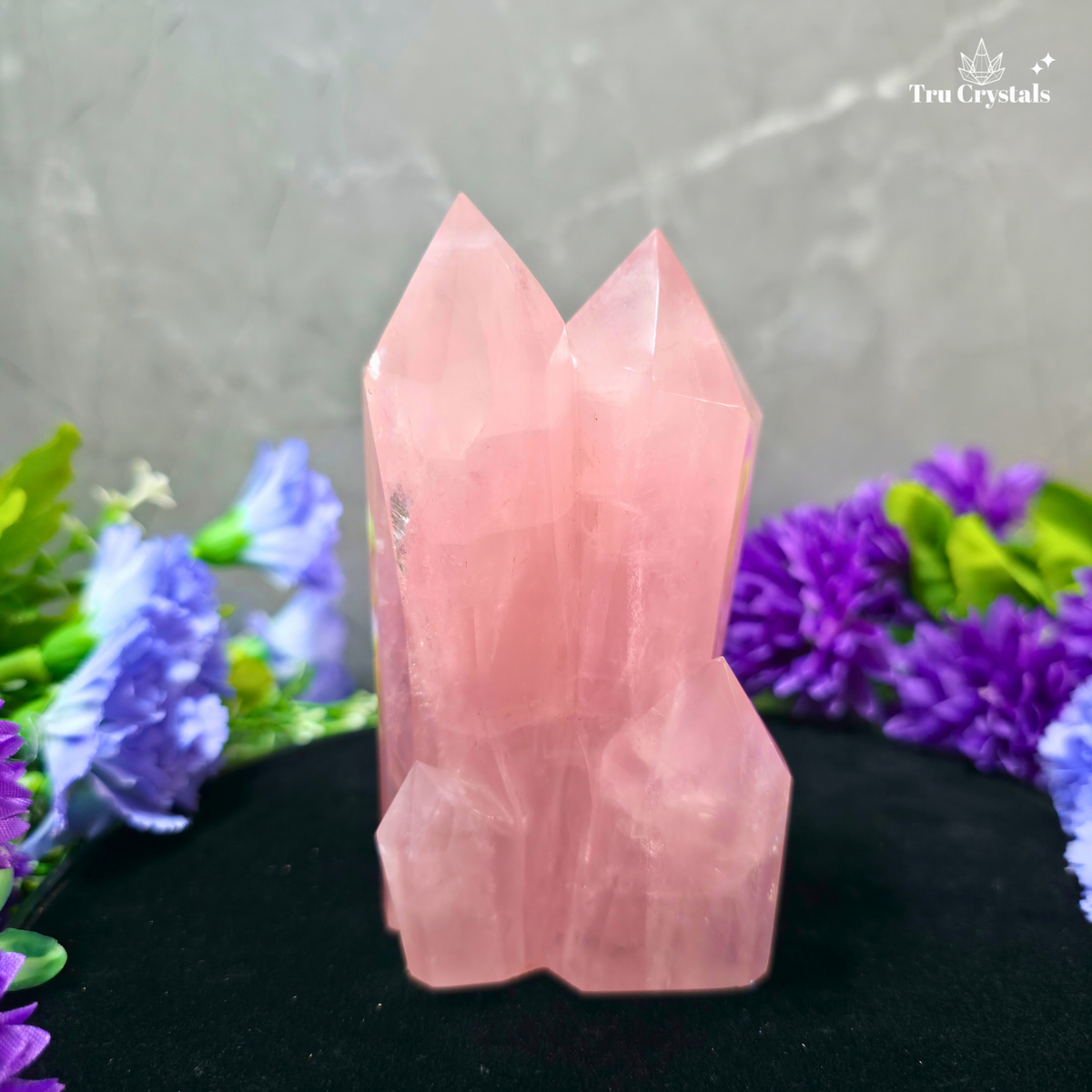  Rose Quartz Family Cluster weighing 470 grams, featuring multiple soft-pink crystal points in a beautiful grouped formation.