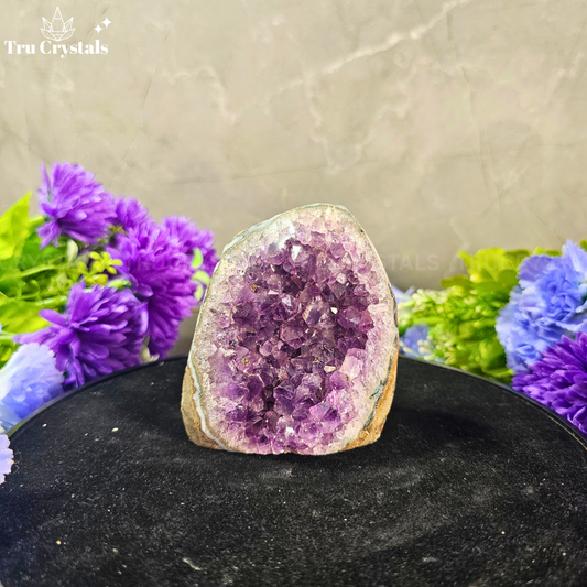 Brazilian Amethyst Geode (Exquisite AAAA Grade) -Aheli