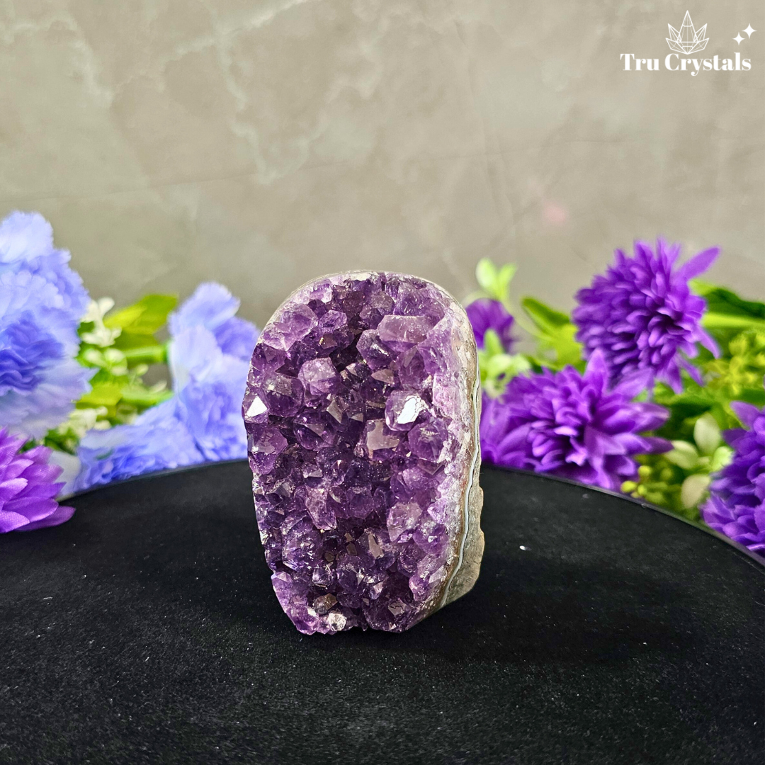 Brazallian (AAAA) Amethyst Geode –  Arnavi
