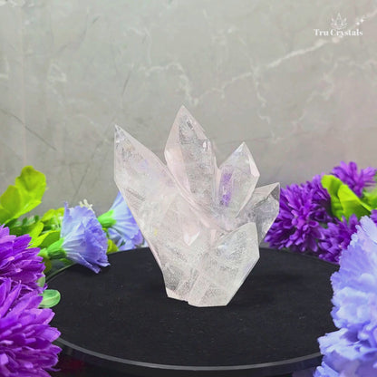 Clear Quartz Family Clusters 421g— Clarity, Amplification & Positive Energy