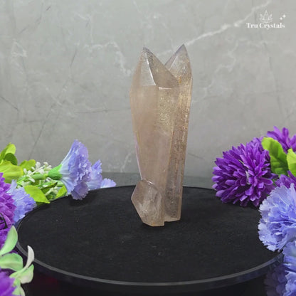 Smoky Quartz Family Cluster – 271 g | Grounding, Protection & Harmony