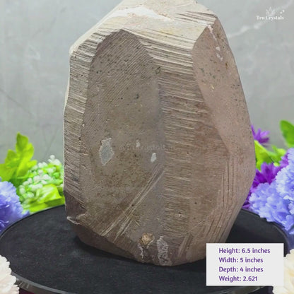 Brazilian Amethyst Geode AAAA- 2.621 kg | Pure Energy & Spiritual Calm | AMALA