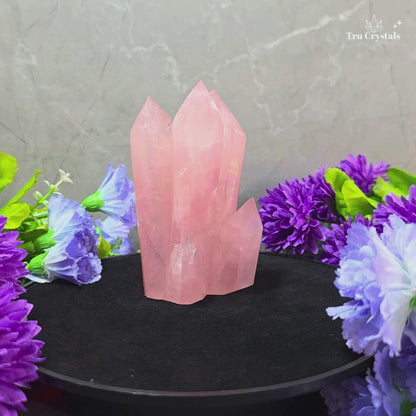 Rose Quartz Family Cluster – 470 g | Love, Harmony & Emotional Balance