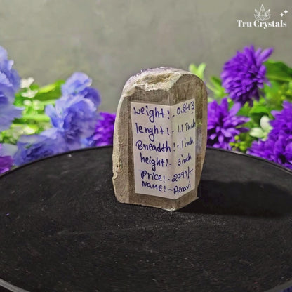Brazallian (AAAA) Amethyst Geode –  Arnavi