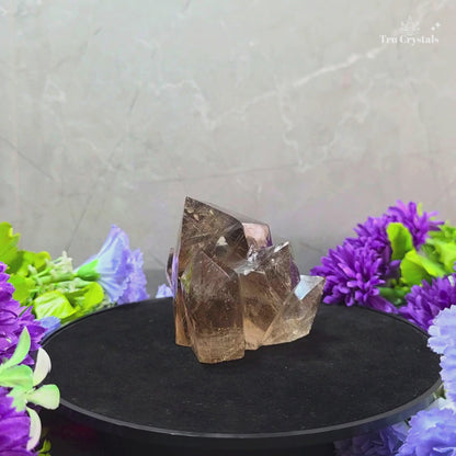 Smoky Quartz Family Cluster – 402 g | Grounding, Protection & Harmony