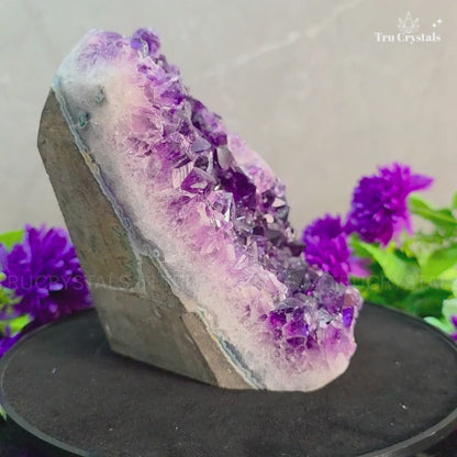 Brazallian (AAAA) Amethyst Geode –  Aisiri