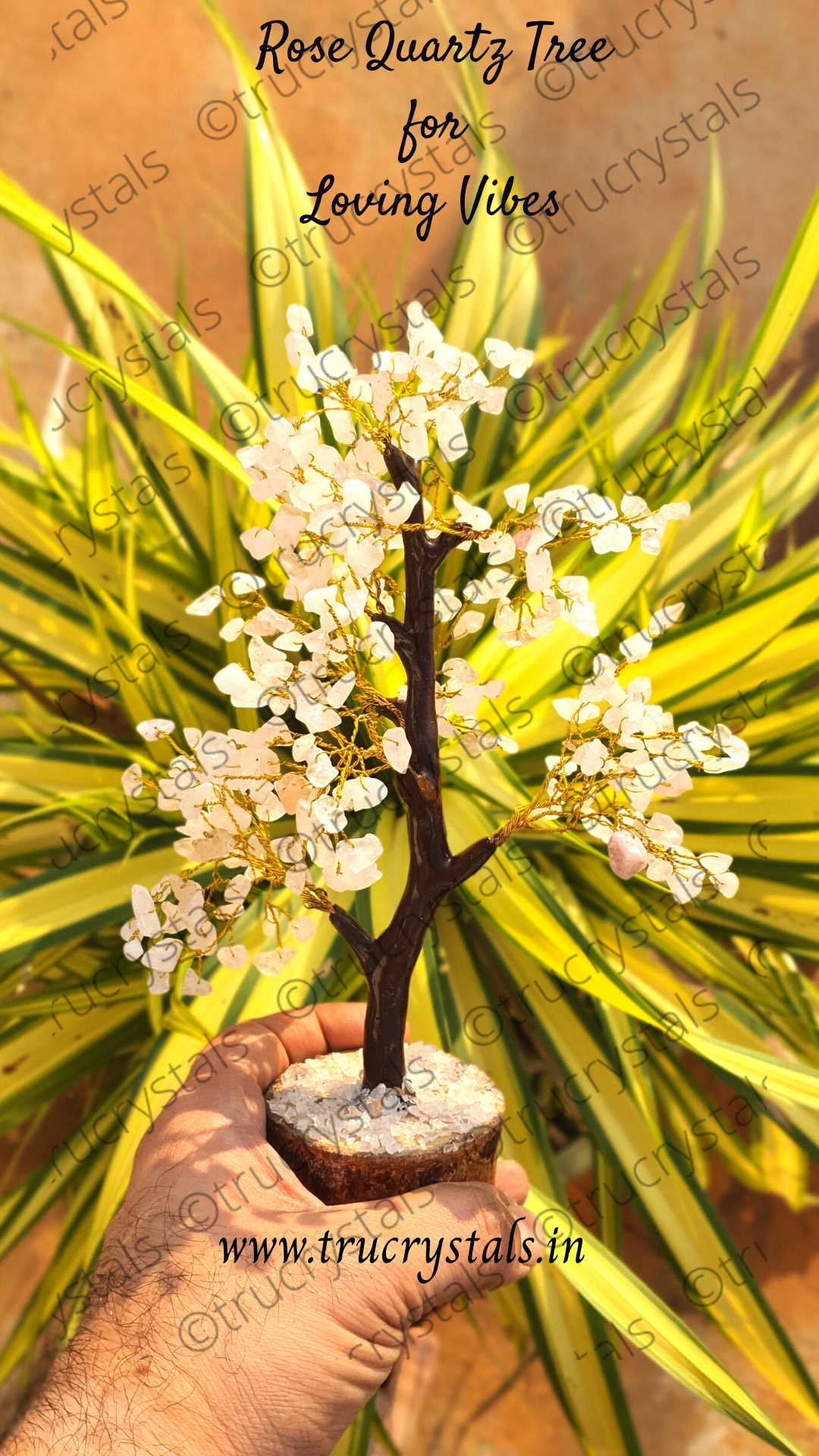 Rose Quartz Tree for Loving Vibes