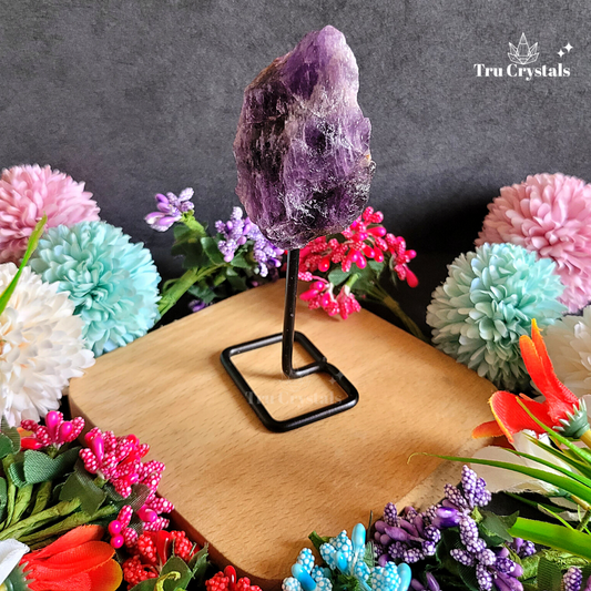 Amethyst Rough Display Stand- (Certified)