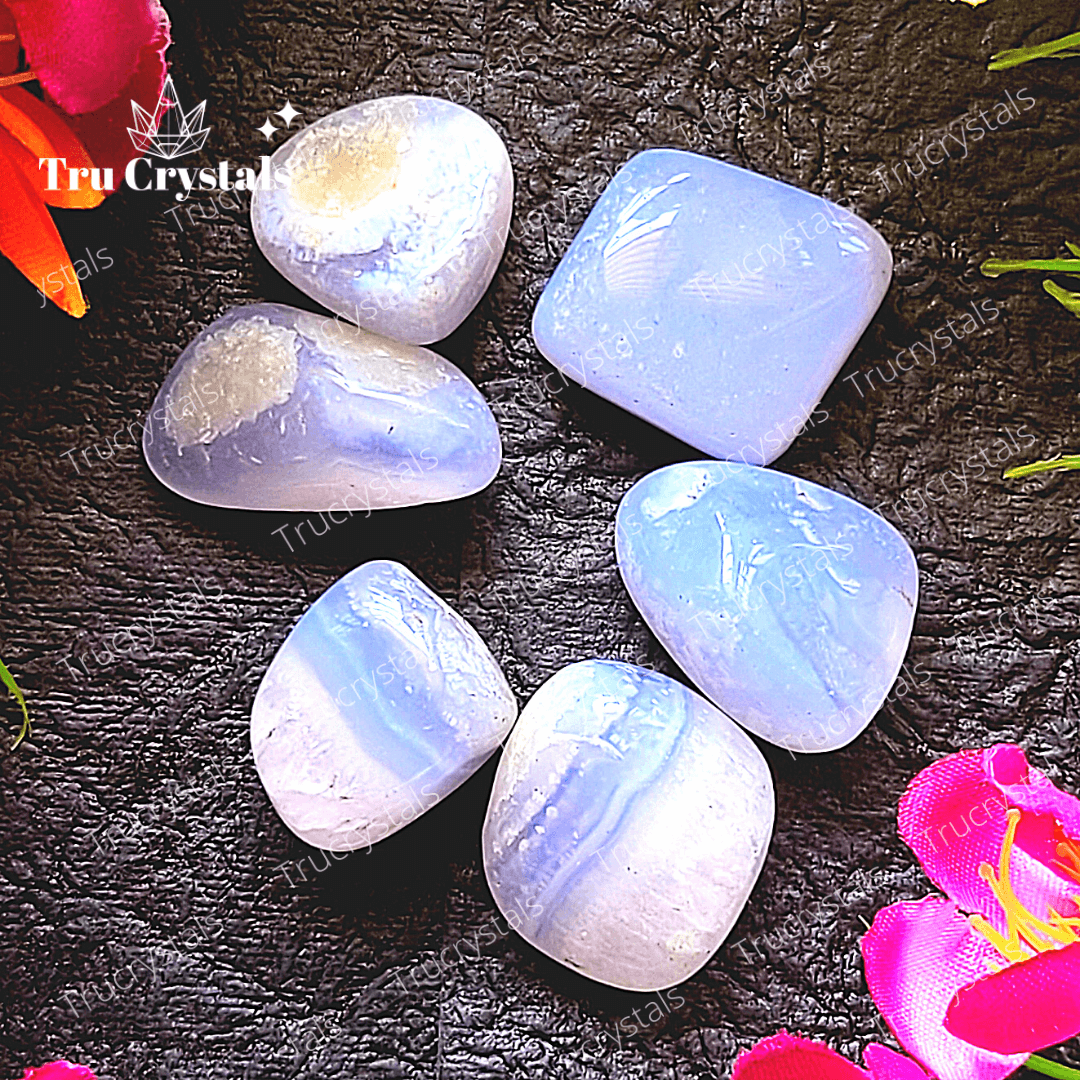 Blue Lace Agate Tumble Stones (Pack of 4)