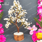 Rose Quartz Tree for Loving Vibes