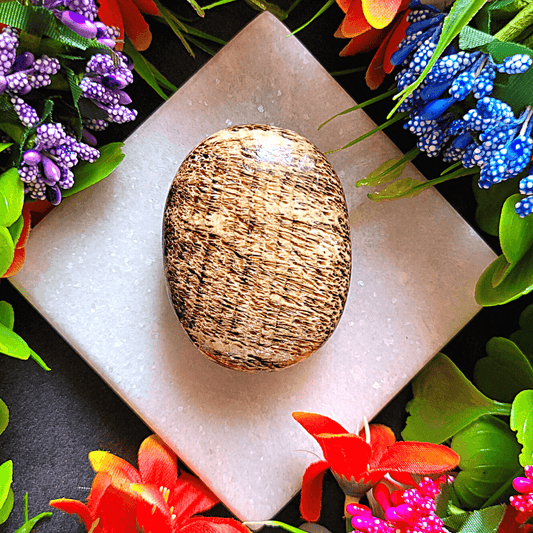 Brown Aragonite Palm Stone- For Stabilizing Physical & spiritual energies