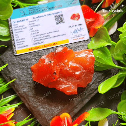 Red carnelian Rough Stone (Certified)