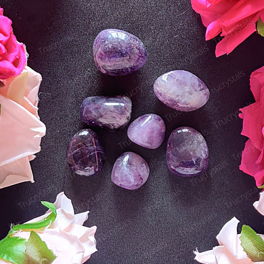 African Amethyst Tumble Stone (Pack of 4 Stones)