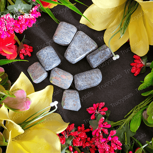 Ruby in Kyanite Tumbles - Pack of 4