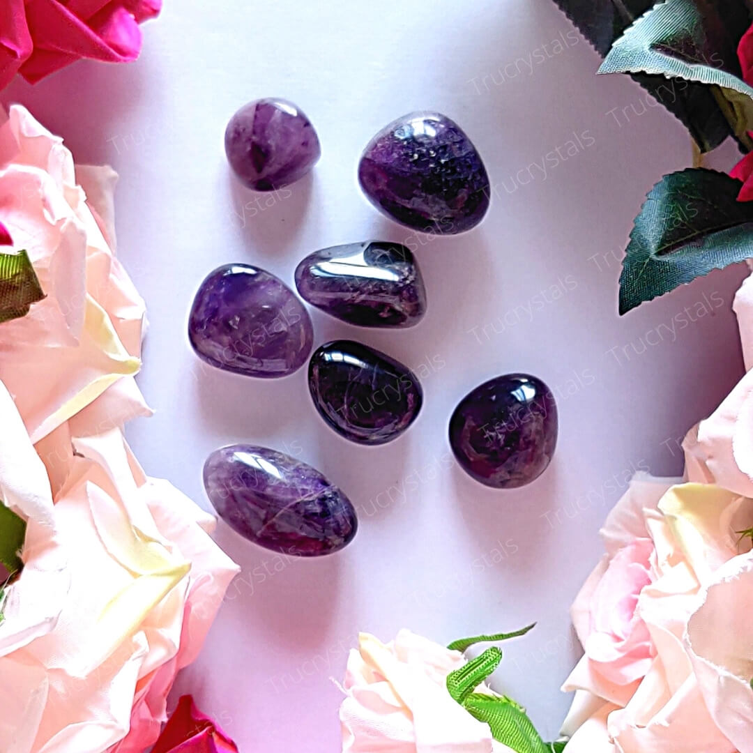 African Amethyst Tumble Stone (Pack of 4 Stones)