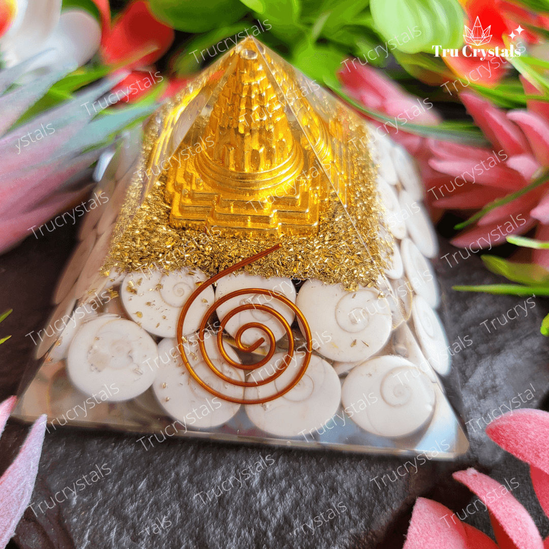 Gomati chakra With Sri Chakra Pyramid- To Attract Godess Lakshmi