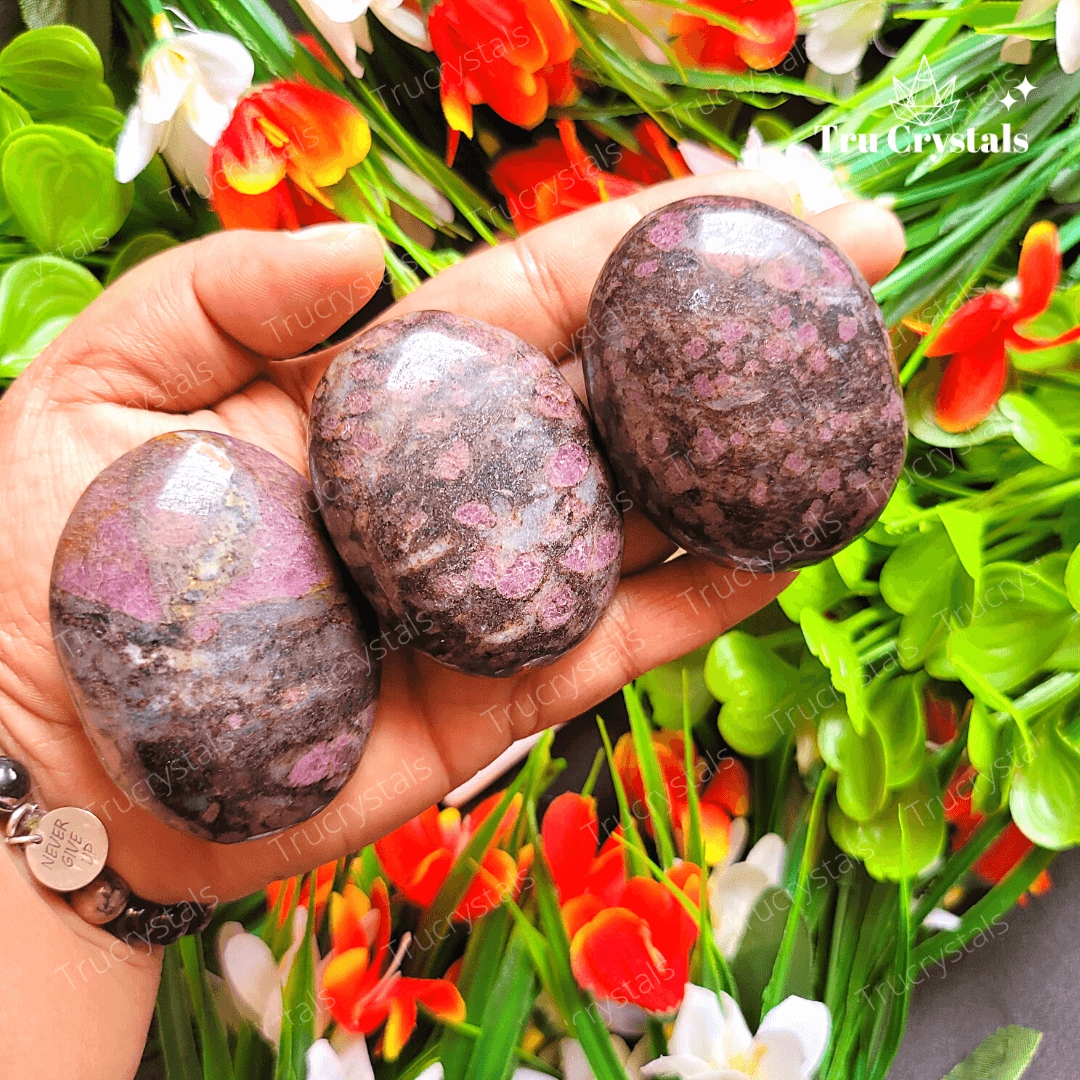 Garnet in Astrophyllite Palm Stone To Discover Life's Purpose