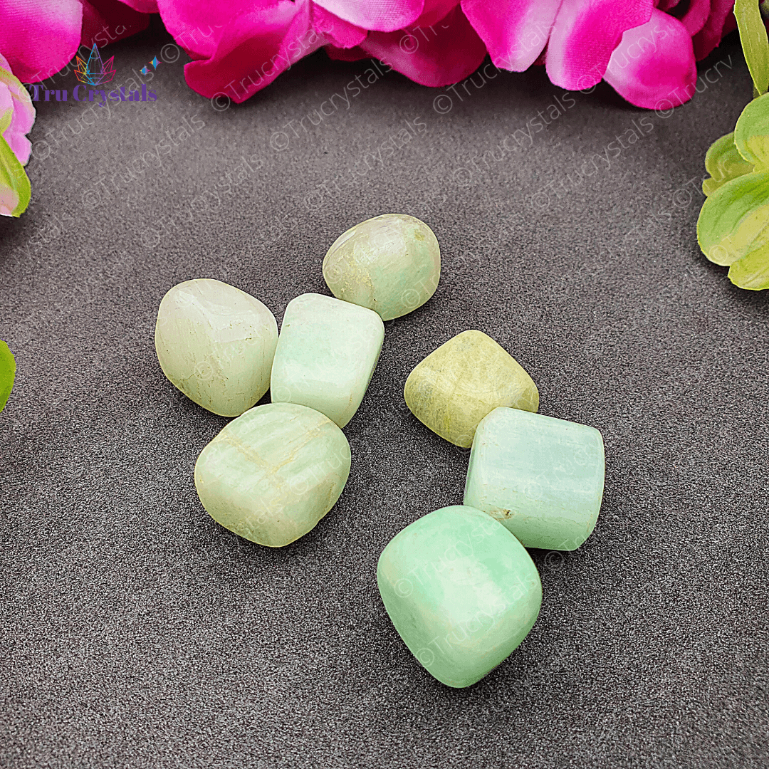 Amazonite Tumbles (Pack of 4)