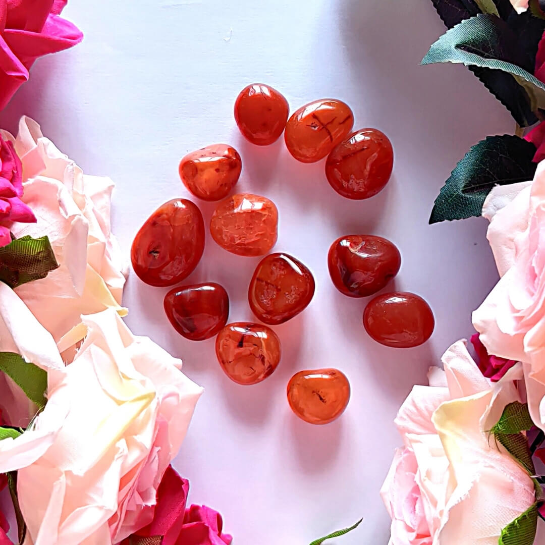 Red Carnelian Tumbled Stones ( Pack of 4 stones)