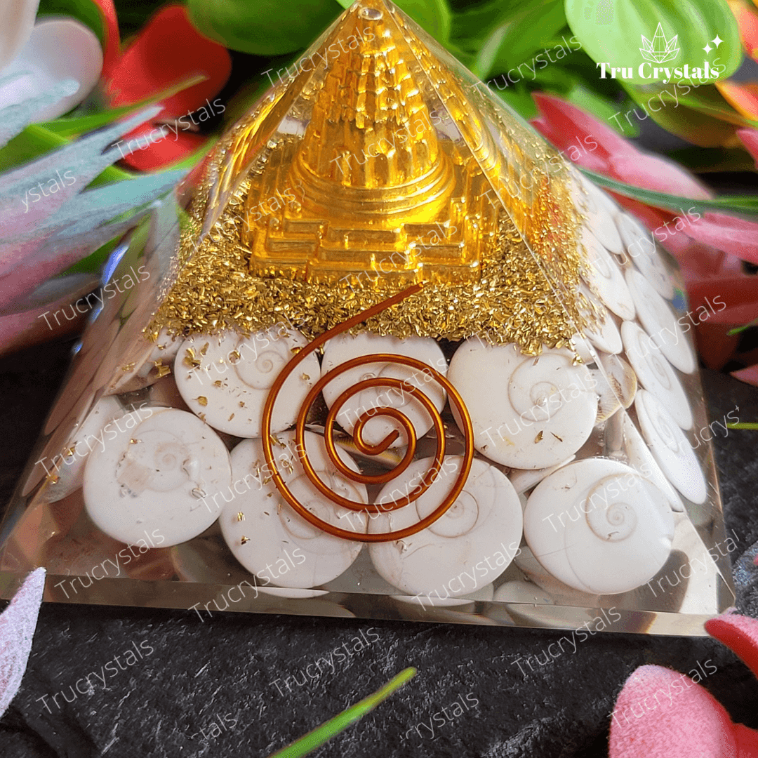 Gomati chakra With Sri Chakra Pyramid- To Attract Godess Lakshmi