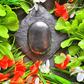 Elite Shungite Palm Stone For EMF Protection
