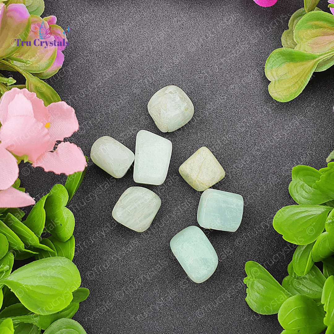 Amazonite Tumbles (Pack of 4)