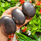 Elite Shungite Palm Stone For EMF Protection