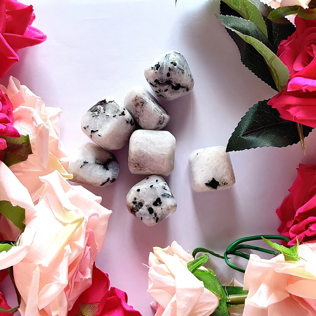 Moon Stone Tumbled Stones (Pack of 4 Stones)